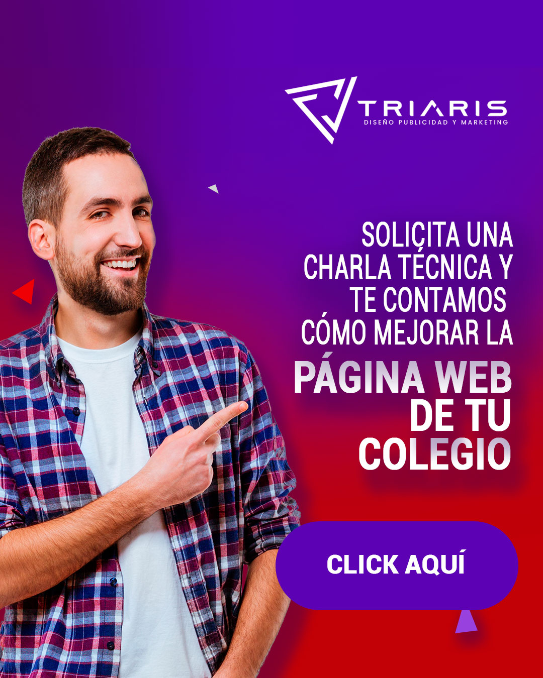 diseño de paginas web parta colegio en ecuador